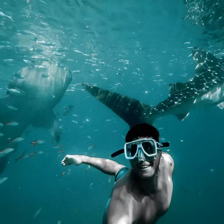 Private group Boating Experience with Dolphins Watching & Snorkeling