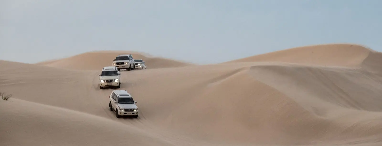 Quickie to the Desert