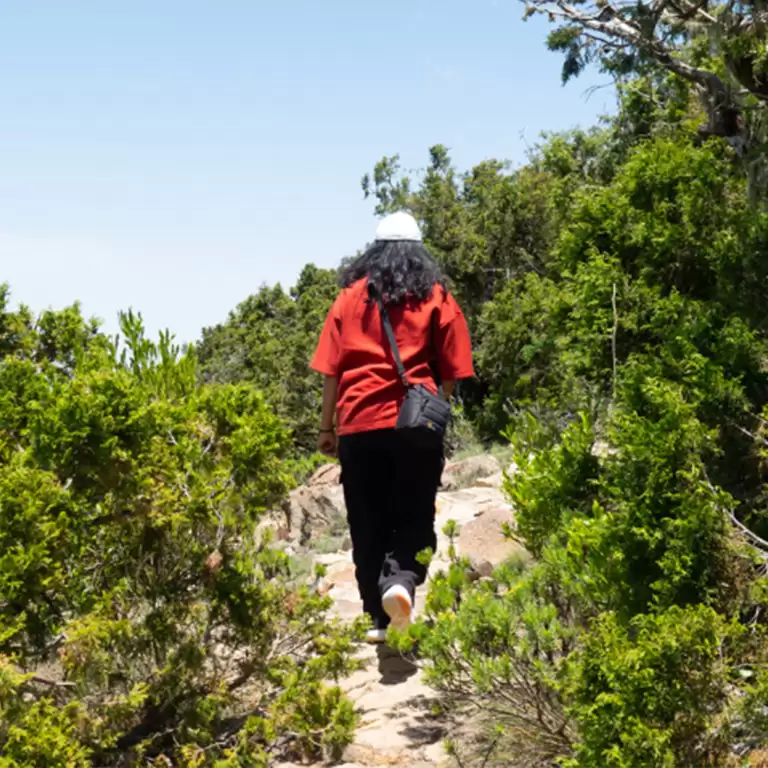 Guided Gaithan Hike