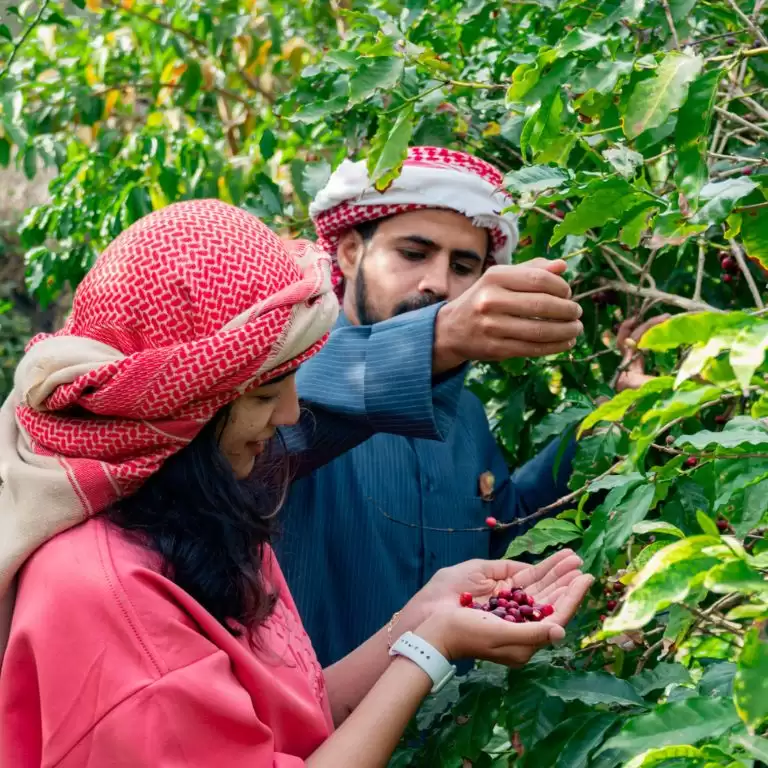 Hike with a local coffee farmer