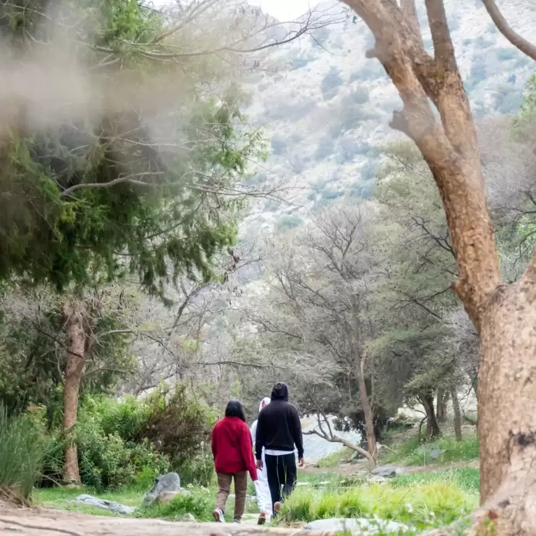Al Baha'da Keşfedin: Ain Jamal Şelalesi