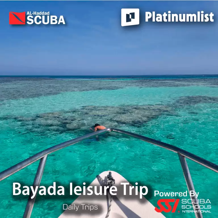 Bayada Daily Trips (Maldives of Jeddah)
