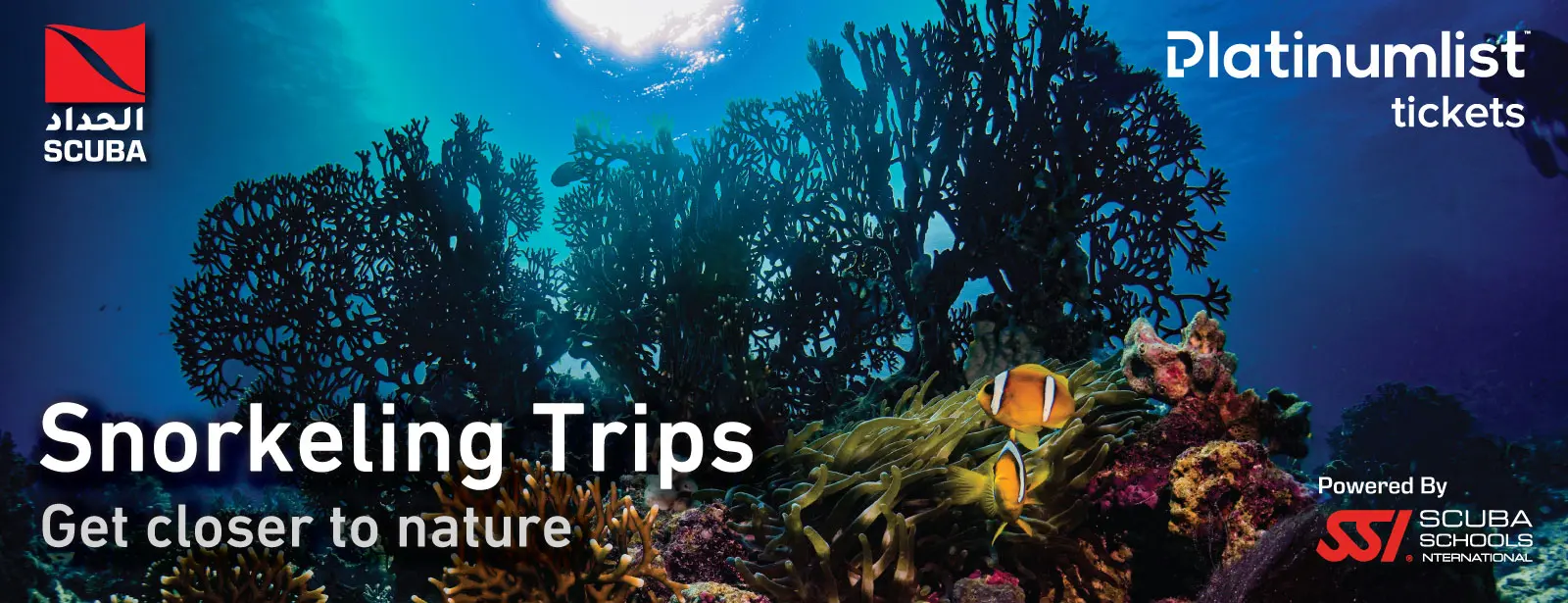 Snorkeling Daily Trips in Jeddah