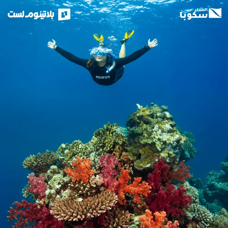 Snorkeling Daily Trips in Jeddah