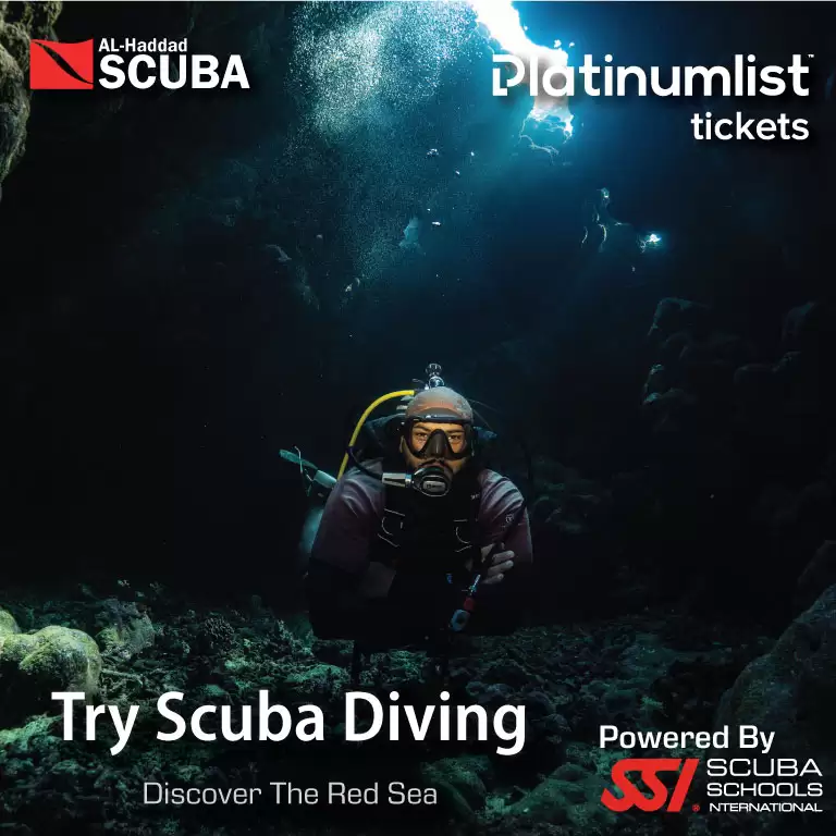 Try Scuba Diving in Jeddah