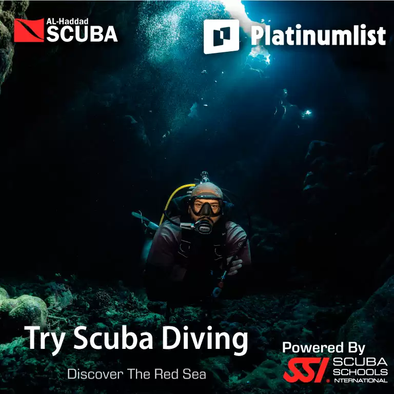Try Scuba Diving in Jeddah
