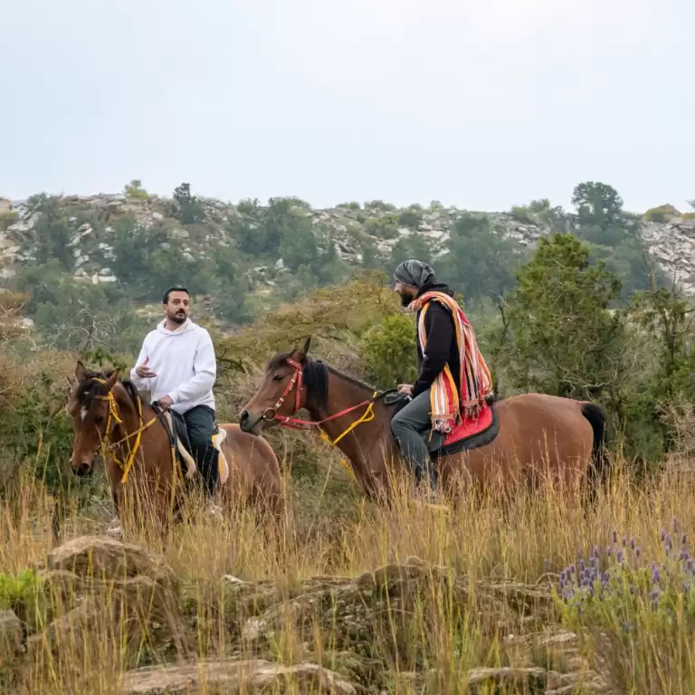 ہارس رائیڈنگ تجربہ