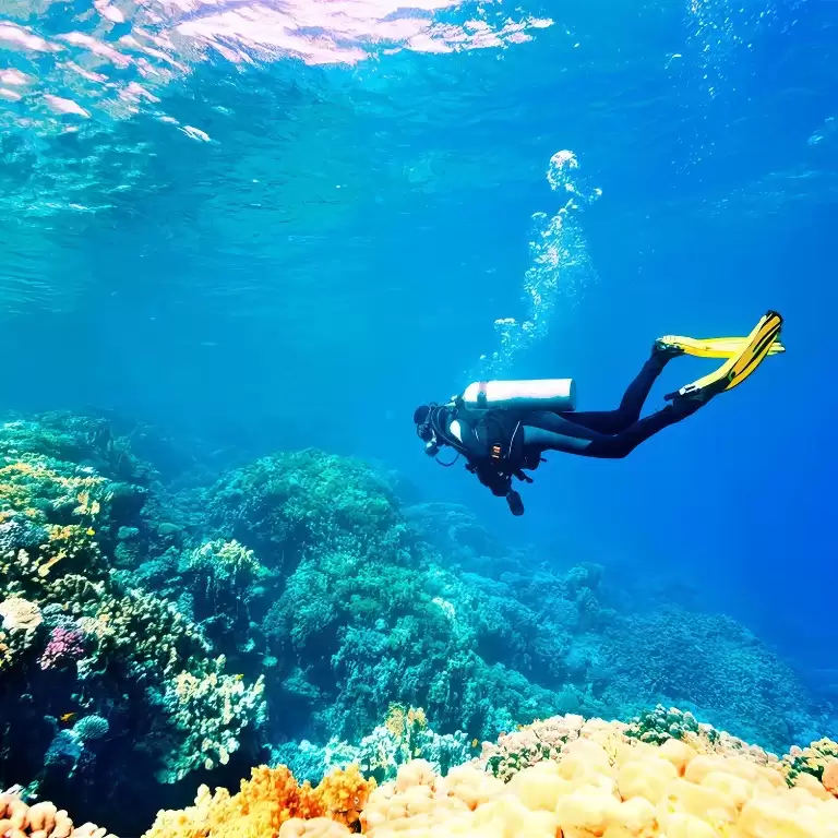 Antalya Diving Tour With Lunch And Transfer