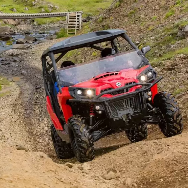 Buggy Safari