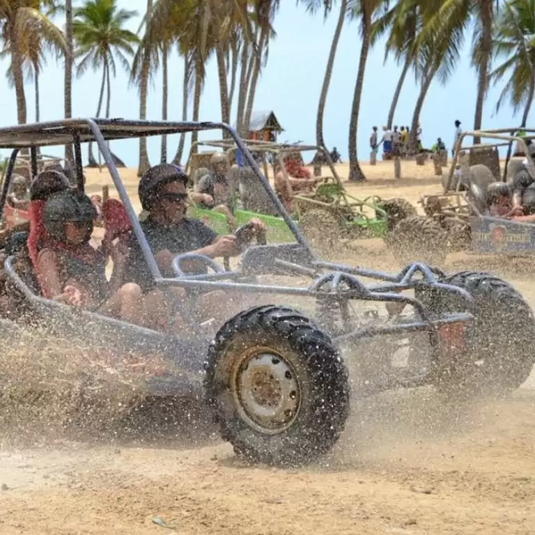 Buggy Safari