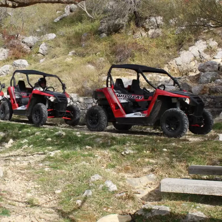 Buggy Safari