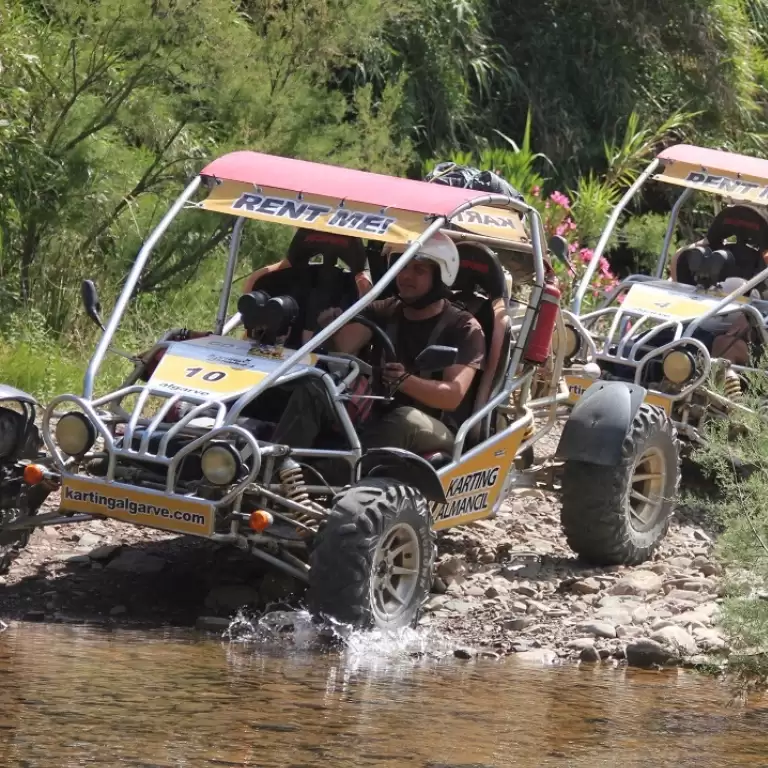 Buggy Safari