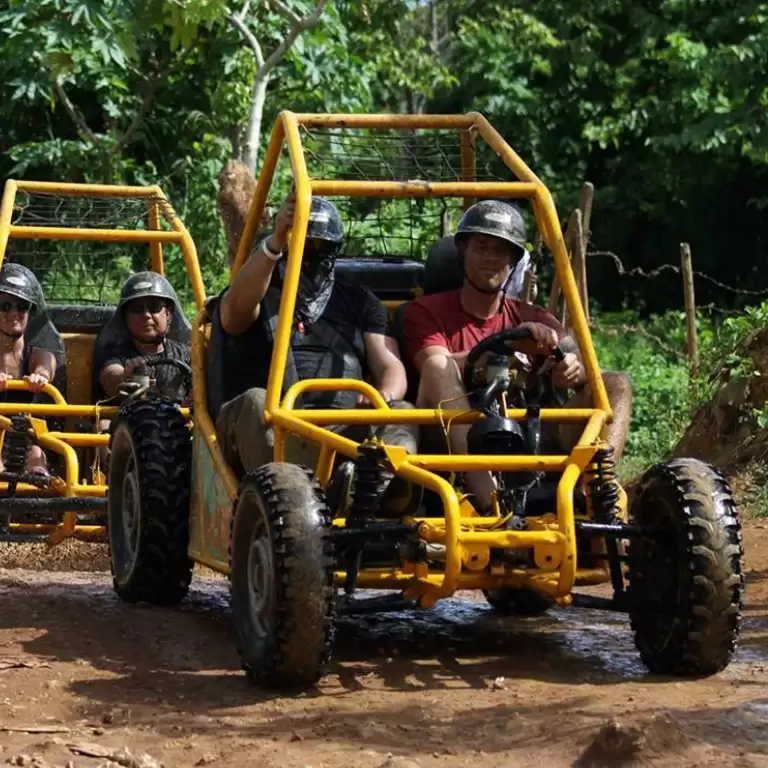 Buggy Safari