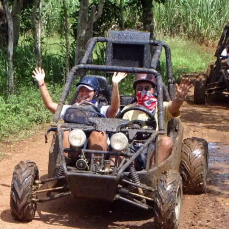 Buggy Safari