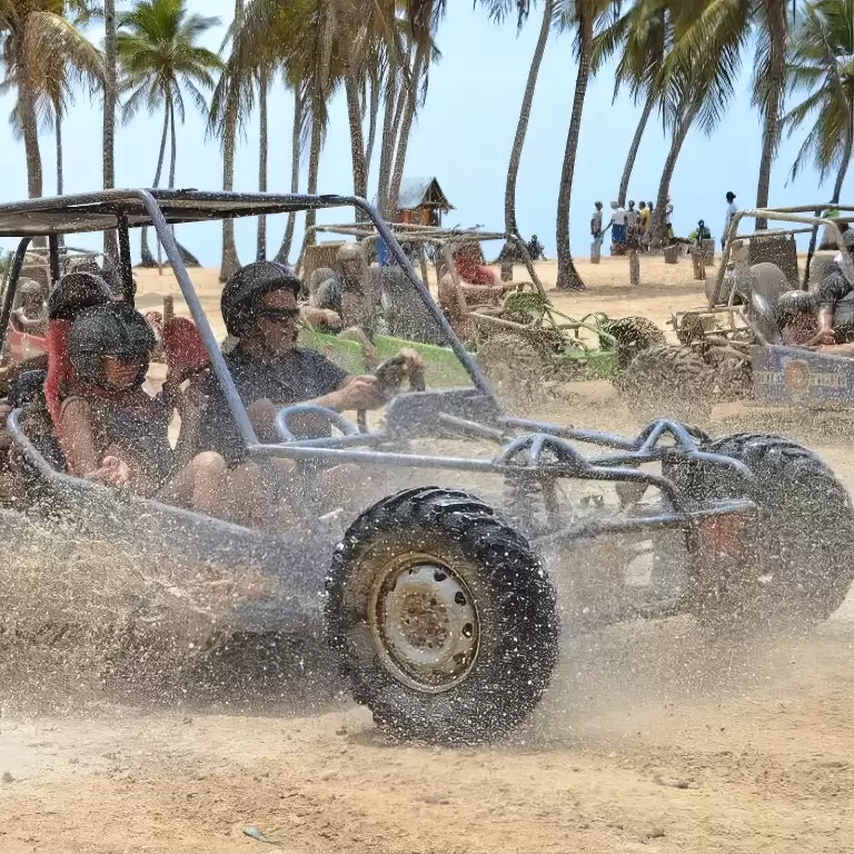 Buggy Safari