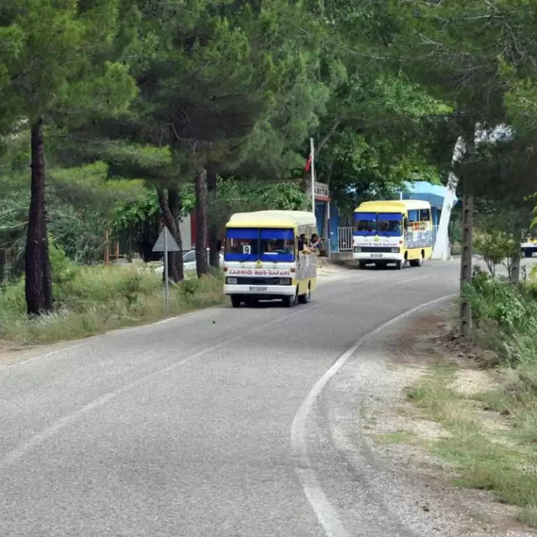 Cabrio Bus Safari
