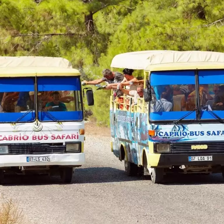 Cabrio Bus Safari