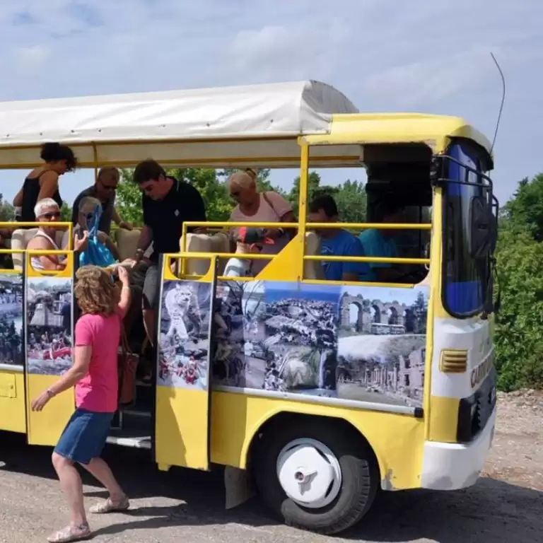 Cabrio Bus Safari