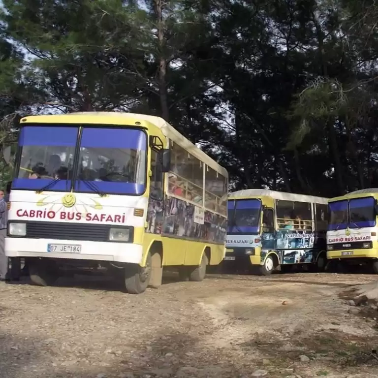 Cabrio Bus Safari