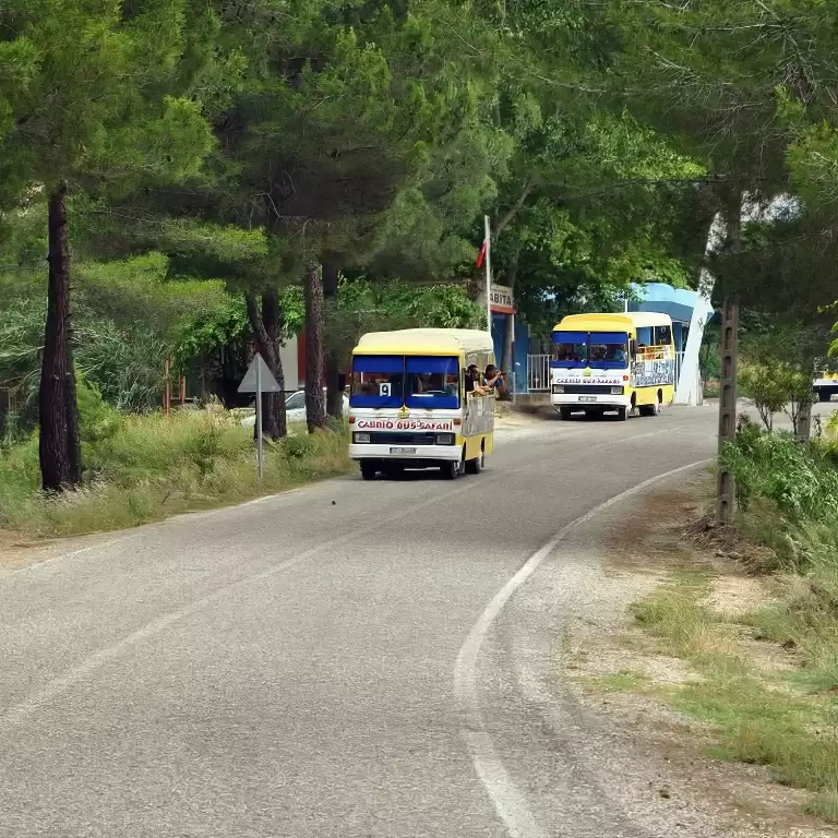 Cabrio Bus Safari