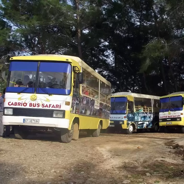 Cabrio Bus Safari