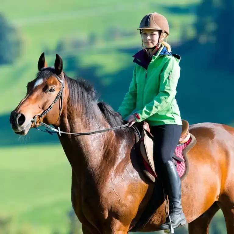 Horse riding