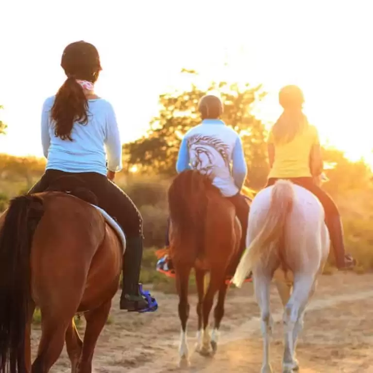 Horse riding
