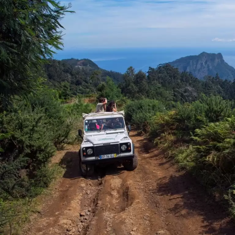 Jeep Safari