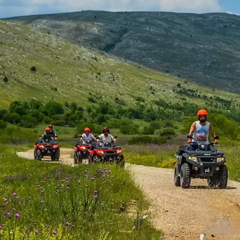 Quad Safari