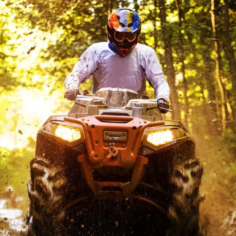 Quad Safari