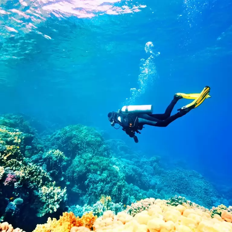 Scuba Diving Tour