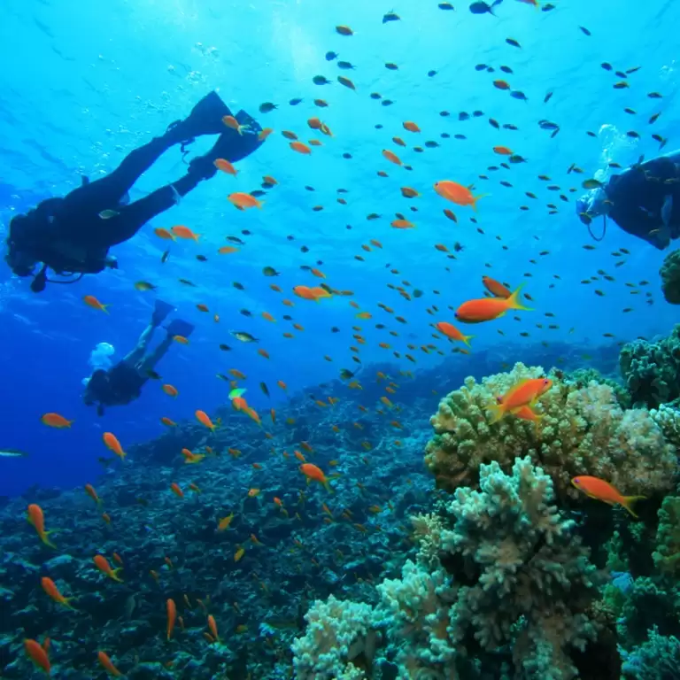 Scuba Diving Tour
