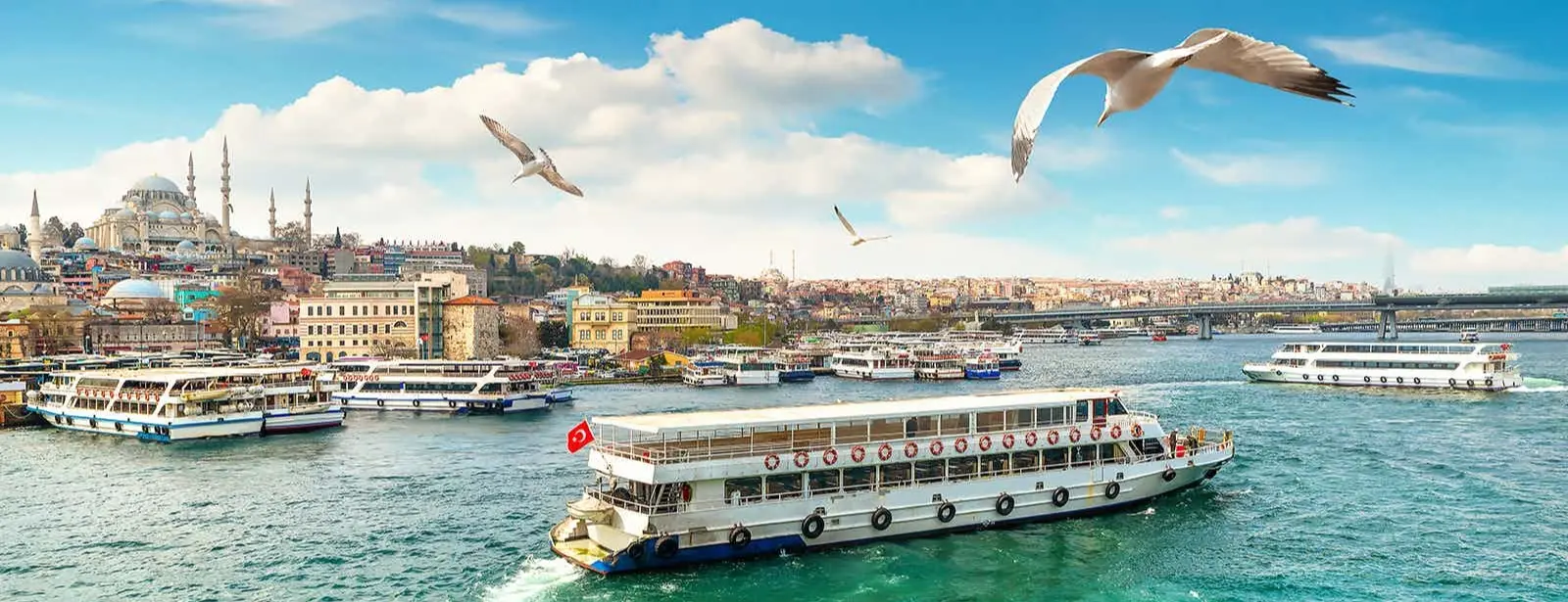 Bosphorus Boat Cruise Istanbul