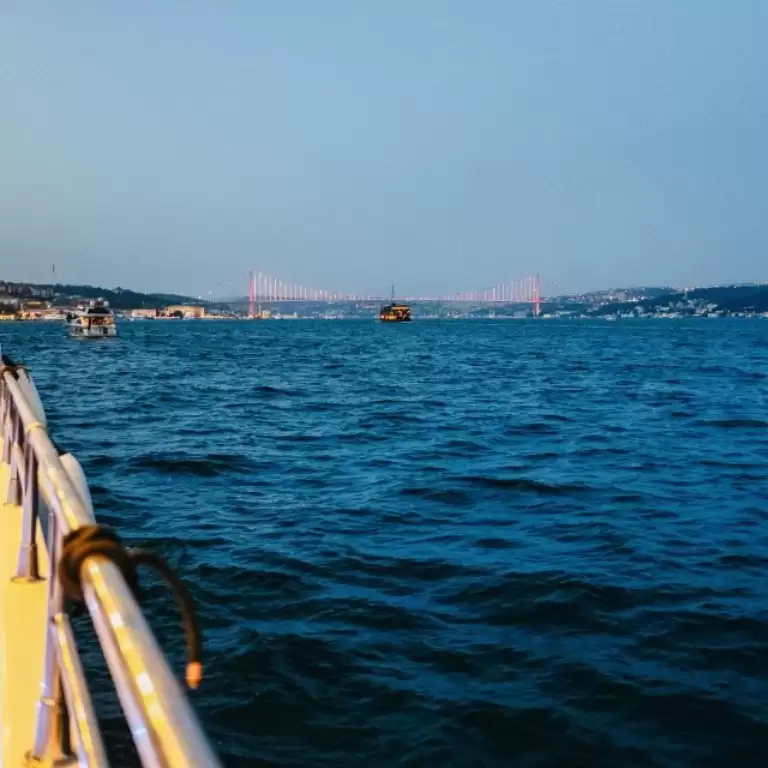 Bosphorus Sunset Cruise on a Luxurious Yacht