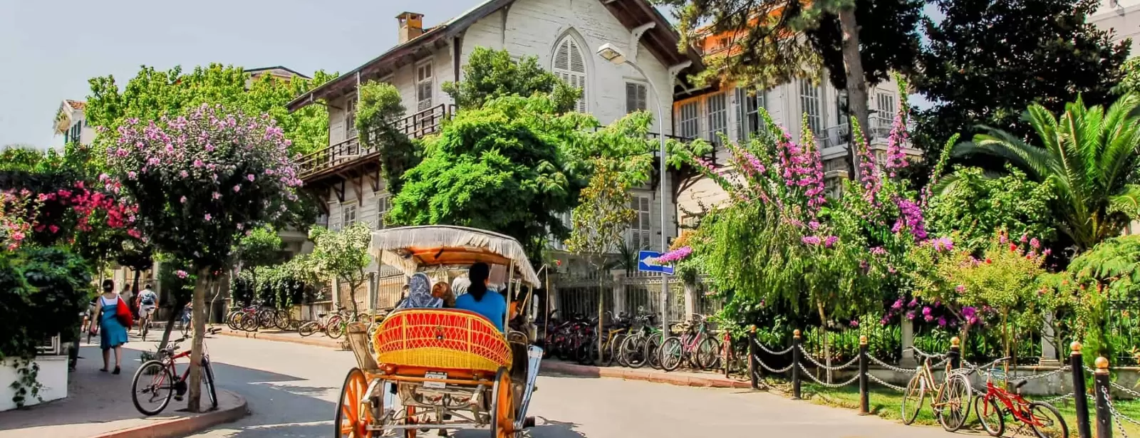 Daily Princes' Islands Tour: Full-Day Trip in Istanbul