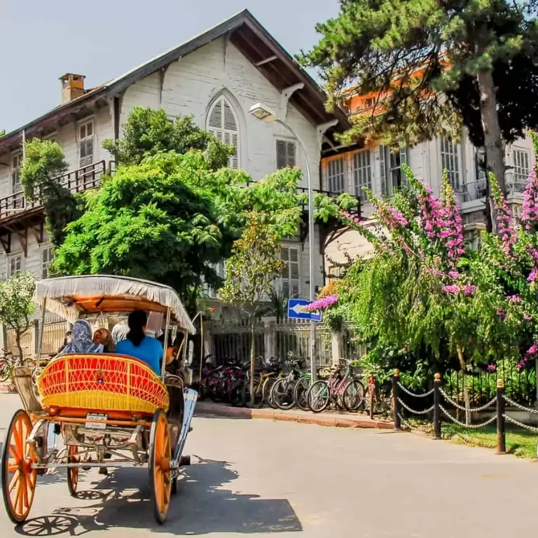 Daily Princes' Islands Tour: Full-Day Trip in Istanbul