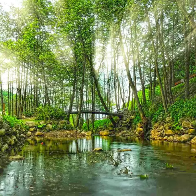 Daily Sapanca and Masukiye Tour: Full-Day Trip From Istanbul