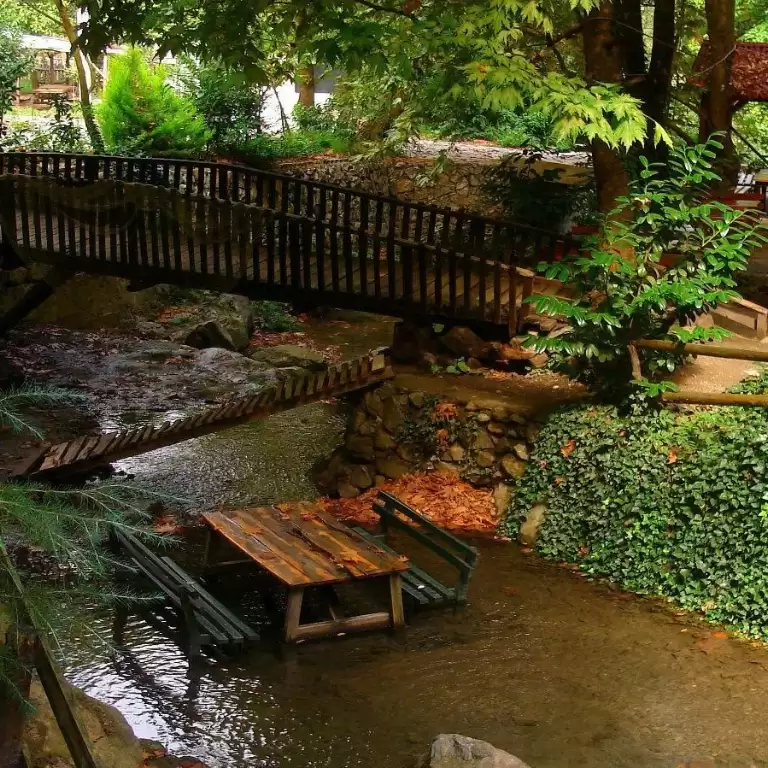 Daily Sapanca and Masukiye Tour: Full-Day Trip From Istanbul