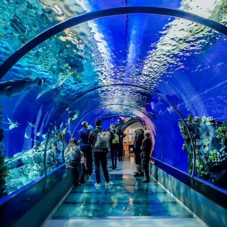 Istanbul Aquarium Ticket & Shuttle - Aqua Florya