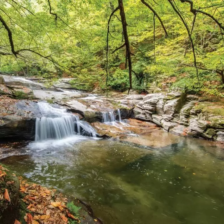 Istanbul: Day Trip to Scenic Sapanca, Masukiye and Kartepe