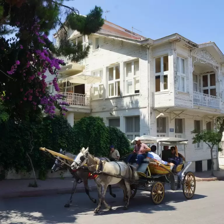 Princes' Island Tour from Istanbul