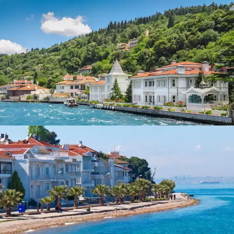 Princes' Islands Tour (2 Islands) Guide,Ticket & Lunch from Istanbul