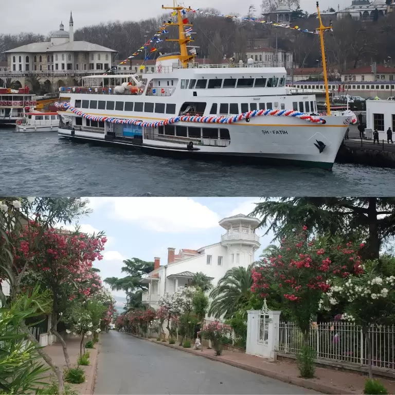 Princes' Islands Tour (2 Islands) Guide,Ticket & Lunch from Istanbul