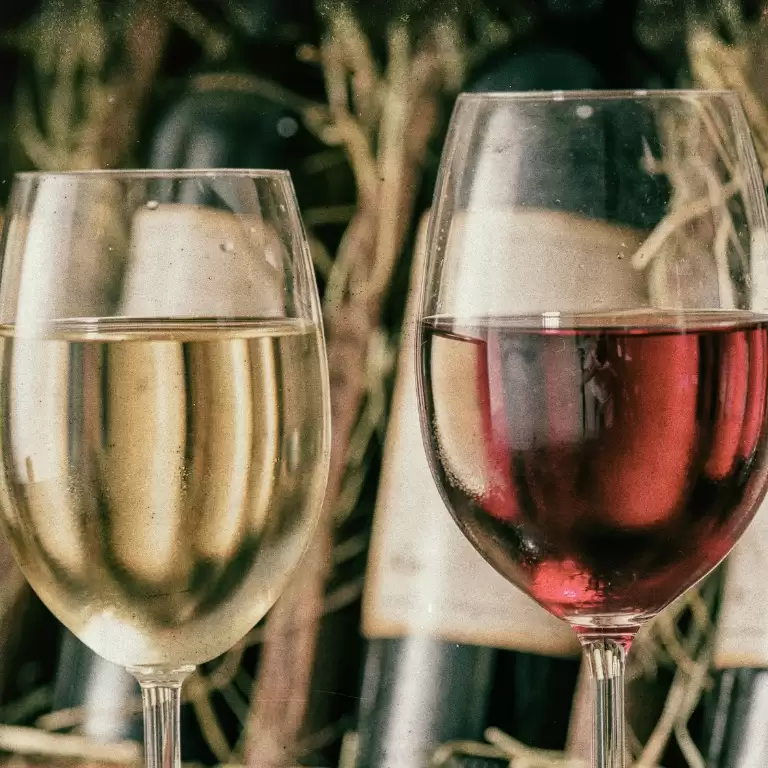 Ancient Ephesus & Wine Tasting Private Tour