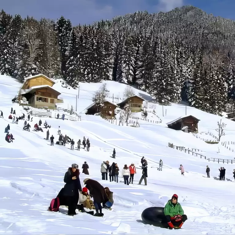 Full Day Ayder Tour From Trabzon
