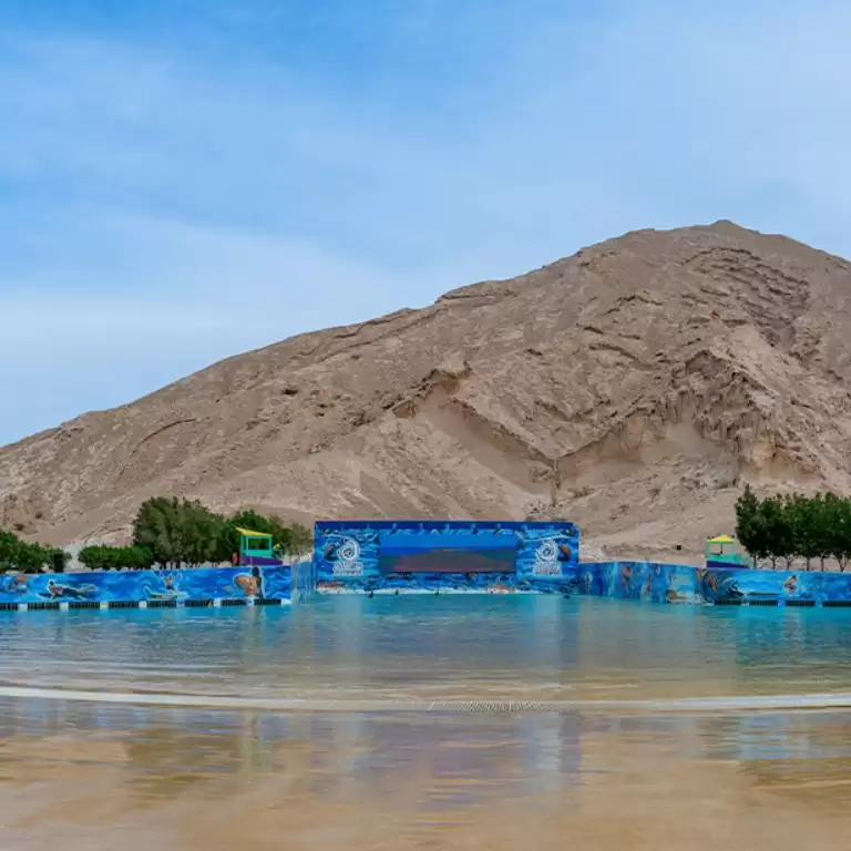 Al Ain Macerası: En İyi Açık Hava Deneyiminiz