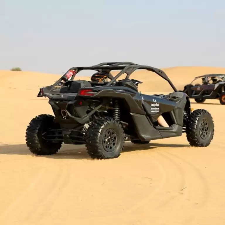 Desert Adventure: Self-Drive Buggy Tour in Abu Dhabi