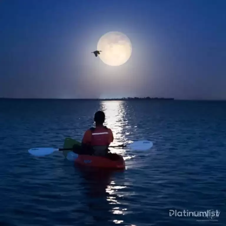 Full moon kayak tour at louvre Abu Dhabi