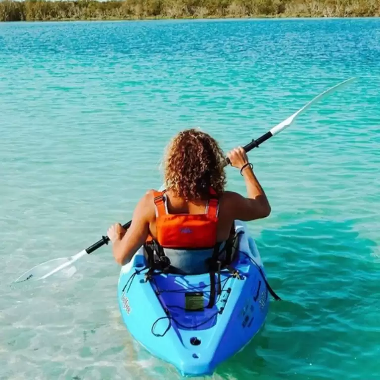 Guided Kayak Tour in the Reem Central Park Mangroves
