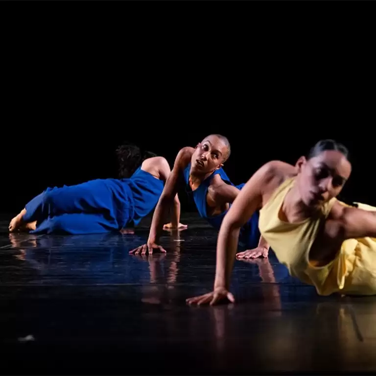 In The Fall | Working Title - Trisha Brown Dance Company